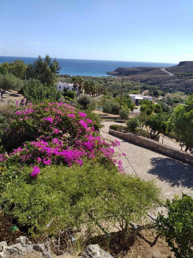 Anthia Apartment Sea View Zekros Exterior photo